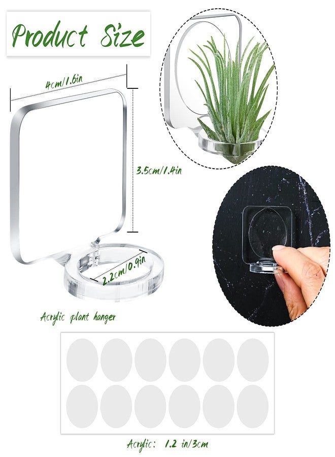 Jetec 12 Pcs Acrylic Air Plants Holder Hanger with Mounting Tape for Hanging Air Plants on Glass Display Home Decoration - Image 2